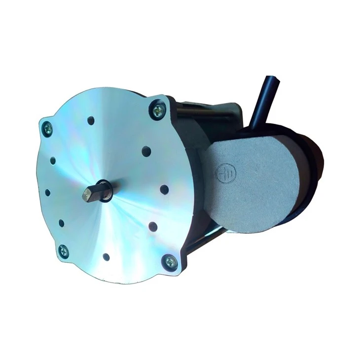 electric motor for space heater